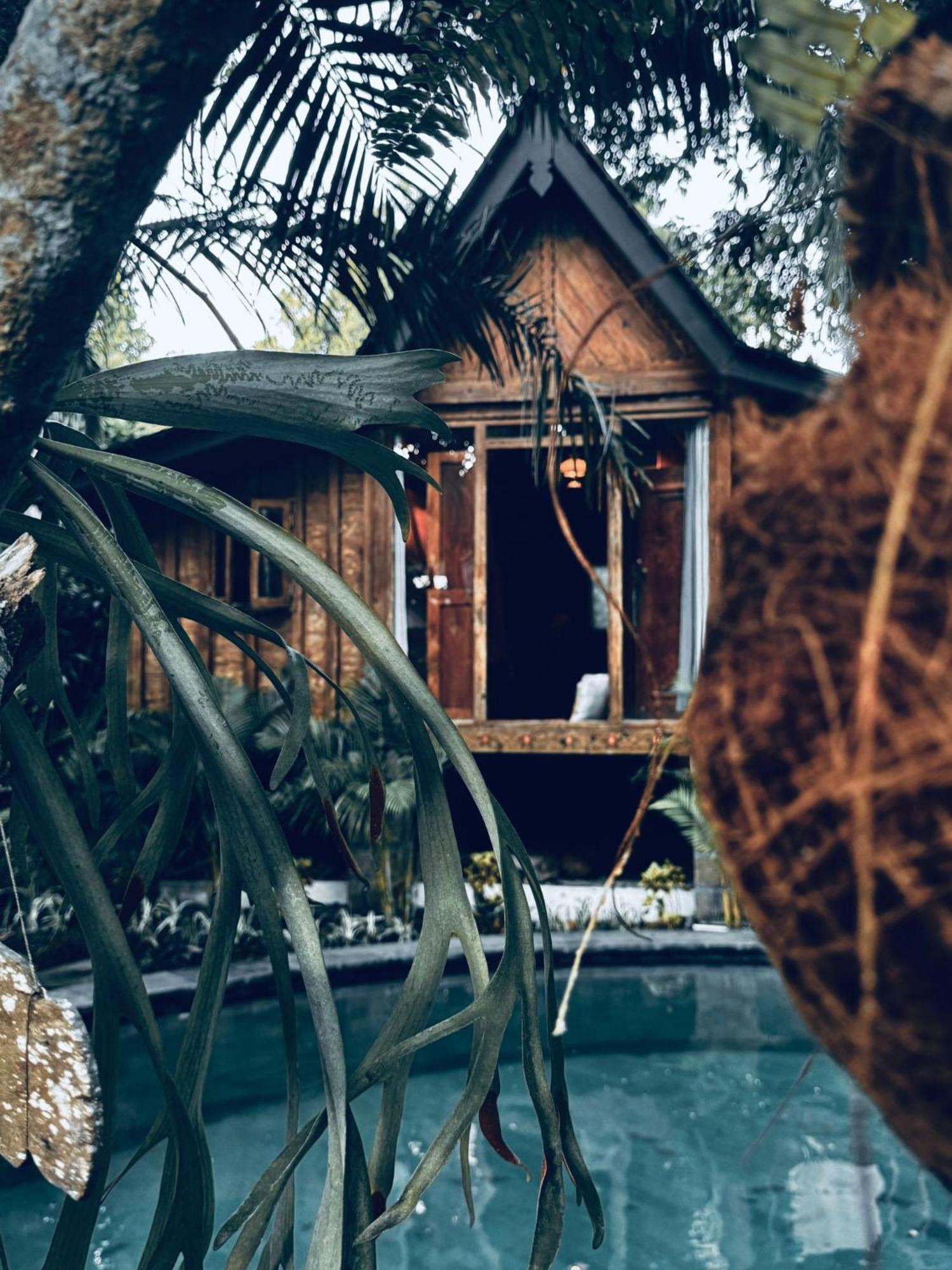 Resort Jungleroom Canggu Екстер'єр фото